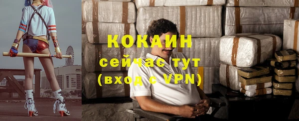 гидра Армянск